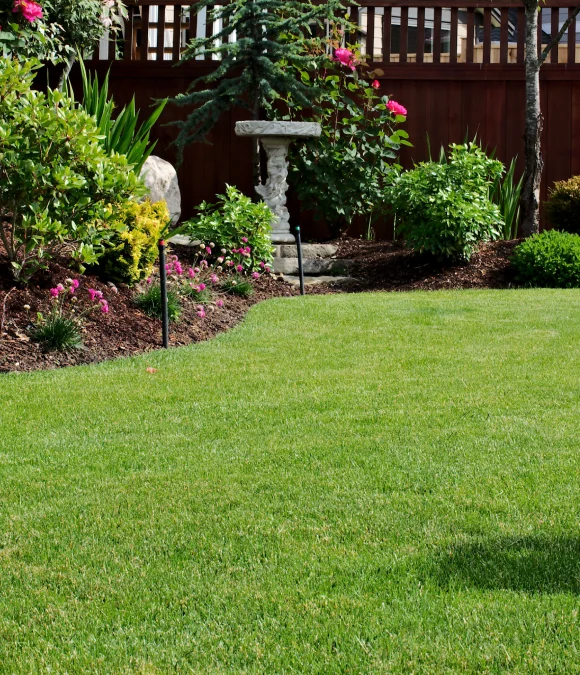 lawn repair service slider